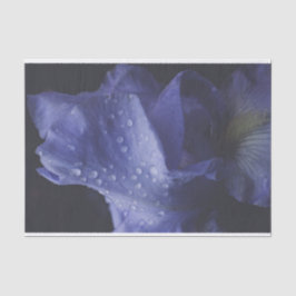 Paars Roos ventilator Tissuepapier