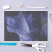 Paars Roos ventilator Tissuepapier (Craft)