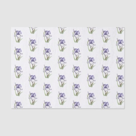 Paars Ruffled Iris Tissuepapier (Voorkant)