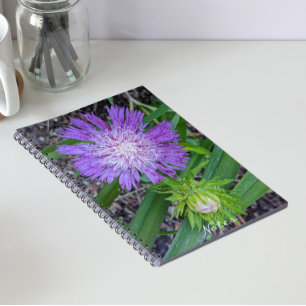 Paars Stoke's Aster Floral Notitieboek
