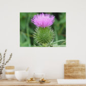 Paars Thistle Poster (Keuken)