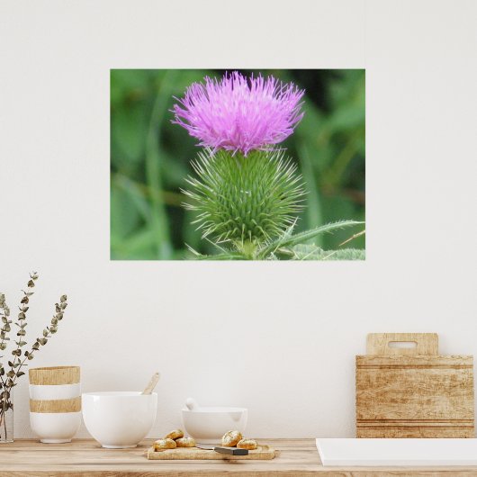 Paars Thistle Poster (Keuken)