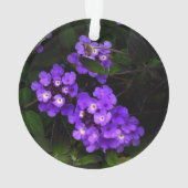 Paars Trailing Lantana #1 Ornament (achterkant)