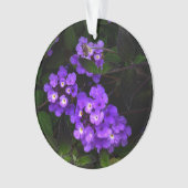 Paars Trailing Lantana #1 Ornament (voorkant)