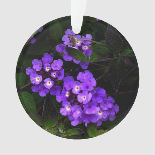 Paars Trailing Lantana #1 Ornament (voorkant)