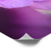 Paars Violet Wall Poster (Hoek)