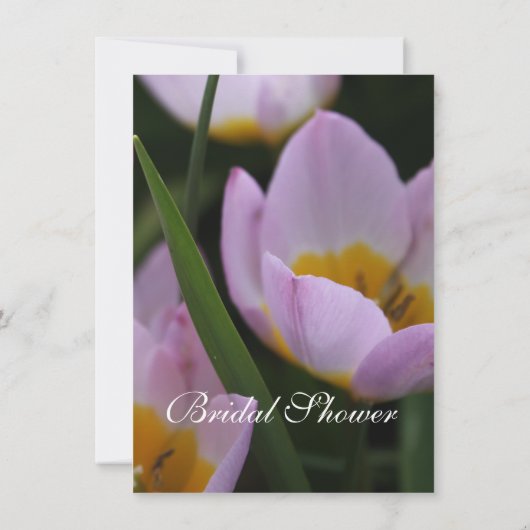 paars vrijgezellenfeest met tulpenbloem kaart (Achterkant)