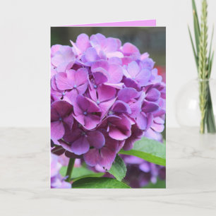 Paars Wenskaart Hydrangea Kaart