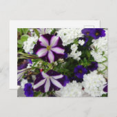 Paars-White Blue Flowers DIY Briefkaart (Voorkant / Achterkant)