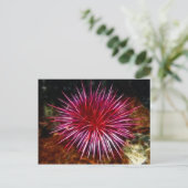 Paars Zee Urchin Briefkaart (Staand voorkant)