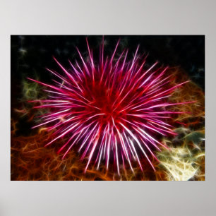 Paars Zee Urchin Poster