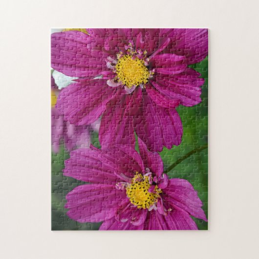 Paars Zinnia Legpuzzel (Verticaal)
