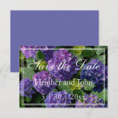 Paarsblauwe maagdenpalm hortensia's sav save the date (Voorkant / Achterkant)