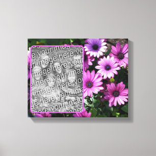 Paarse African Daisy Flowers Creëer Uw eigen foto Canvas Afdruk