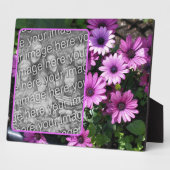 Paarse African Daisy Flowers Voeg je eigen foto to Fotoplaat (Zijkant)