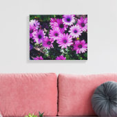 Paarse Afrikaanse Daisies geknette blik Canvas Afdruk (Insitu (Woonkamer))