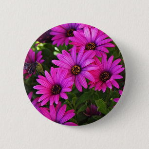 Paarse Afrikaanse Daisy Ronde Button 5,7 Cm