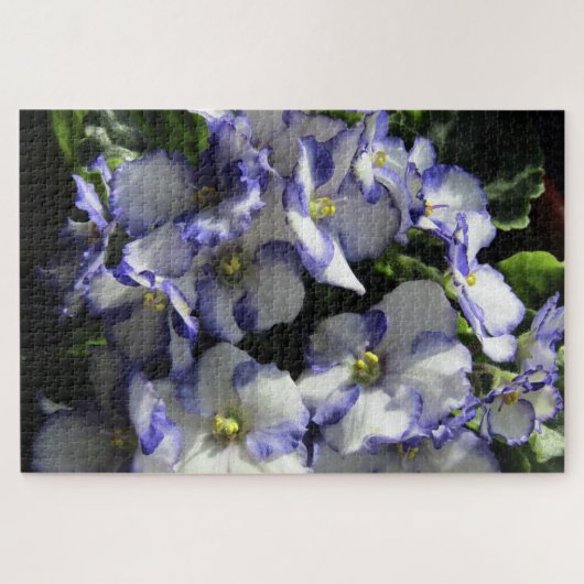 paarse afrikaanse violette bloemen puzzel (Horizontaal)