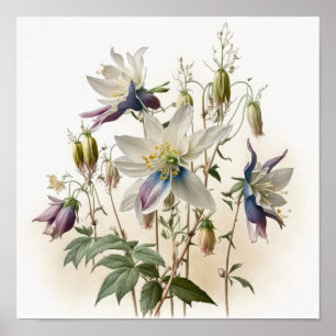 Paarse Akelei Bloemen Kunstprint Poster