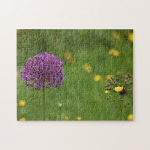 Paarse Allium Flower Natuur Legpuzzel