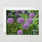 Paarse Allium Flowers Hartelijk dank Briefkaart (Voorkant / Achterkant)