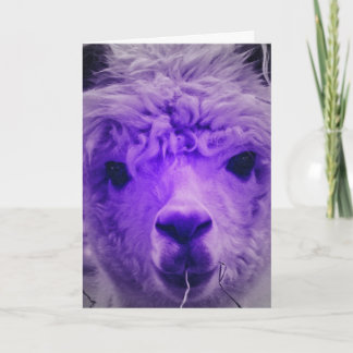 Paarse Alpaca, Birthday Kaart