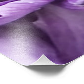 Paarse anjer foto afdruk (Hoek)