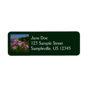 Paarse Aster Bloemen bij Mount Rainier Etiket