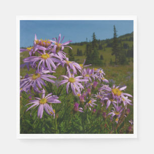 Paarse Aster Bloemen bij Mount Rainier Servet