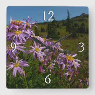 Paarse Aster Bloemen bij Mount Rainier Vierkante Klok