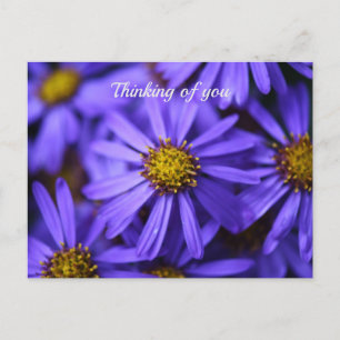 Paarse Aster Bloemen bij RHS Garden Wisley Denken Briefkaart