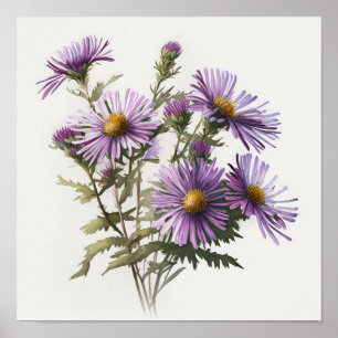 Paarse Aster Flower Art Print Poster