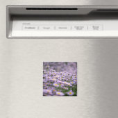 Paarse Aster Flowers Magneet (Insitu (Vaatwasser))