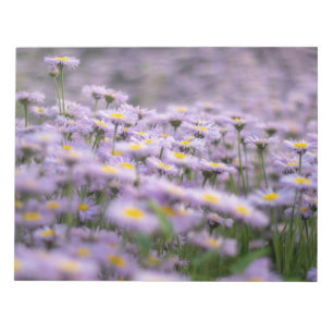 Paarse Aster Flowers Notitieblok