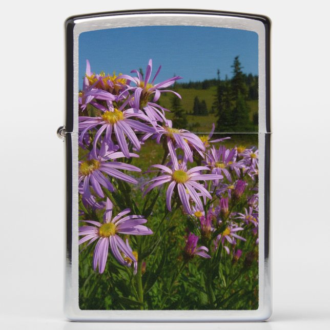 Paarse Aster Flowers op Mount Rainier (Voorkant)