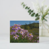Paarse Aster Flowers op Mount Rainier Briefkaart (Staand voorkant)