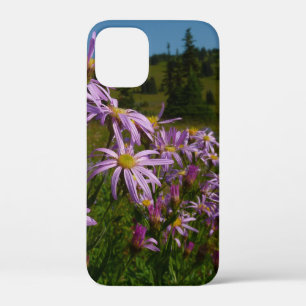 Paarse Aster Flowers op Mount Rainier iPhone 12 Mini Hoesje