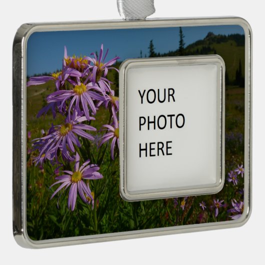 Paarse Aster Flowers op Mount Rainier Verzilverd Kader Ornament (Rechts)