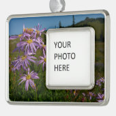Paarse Aster Flowers op Mount Rainier Verzilverd Kader Ornament (Links)