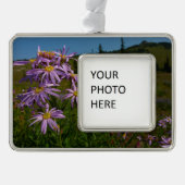 Paarse Aster Flowers op Mount Rainier Verzilverd Kader Ornament (Voorkant)