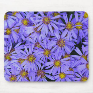 Paarse Aster Flowers op RHS Garden Wisley Muismat