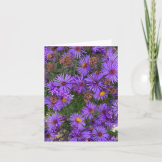 Paarse asterbloemen in een tuinfoto kaart
