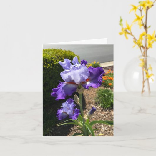 Paarse Baardiris Persoonlijke Wenskaart Kaart (Gele Bloem)