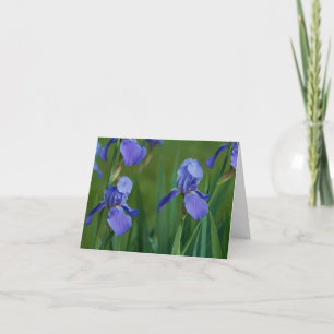 Paarse Baardiris Vouw Dankkaart Bedankkaart