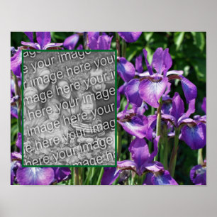 Paarse Bearded Iris Flowers Lijst Uw foto toevoege Poster