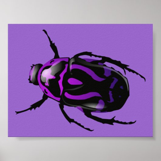 Paarse Beetle Poster (Voorkant)
