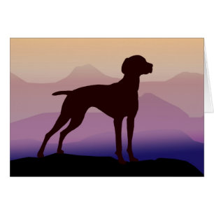 Paarse bergen Vizsla