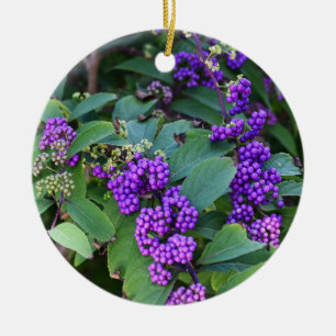 Paarse bessen Foto Ornament