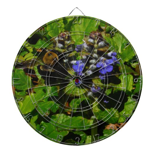 Paarse bijenbalm en roodbaars dartbord (Voorkant)