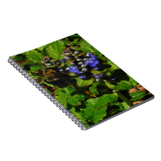 Paarse bijenbalm en roodbaars notitieboek (Rechterzijde)